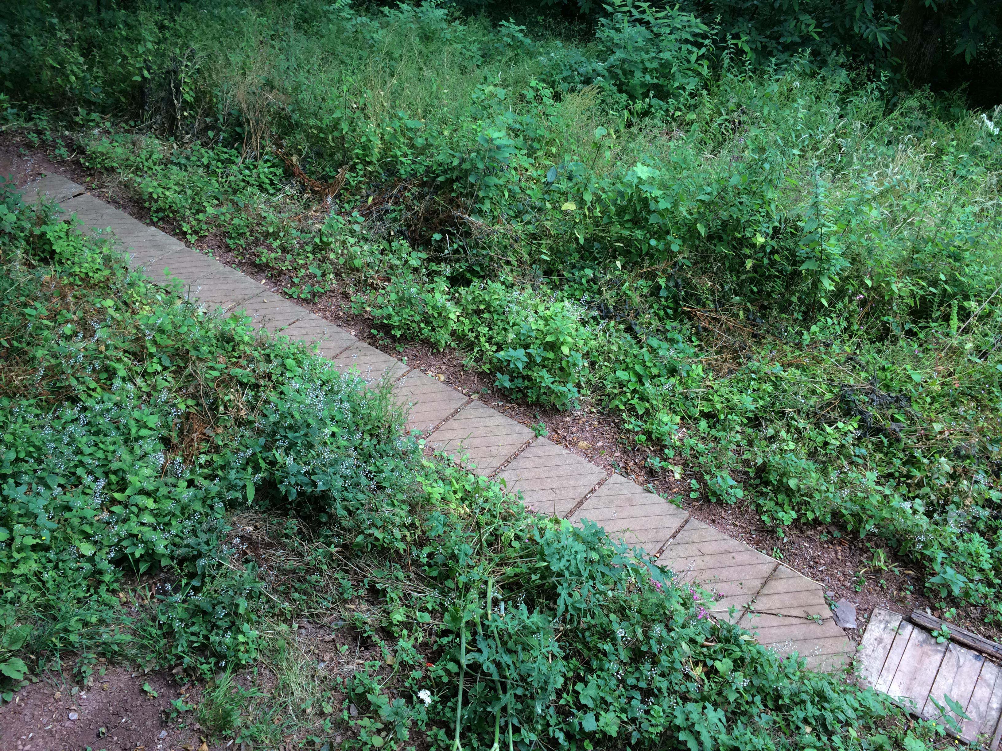 Sharpham Retreat Centre - Meditation path